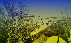 Sidi-bel-abbes 515- Hopital militaire